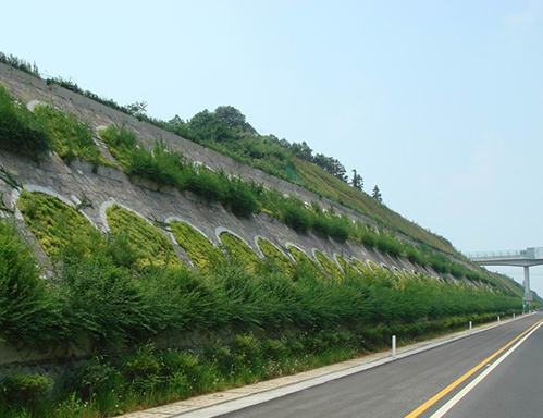 高速公路绿化